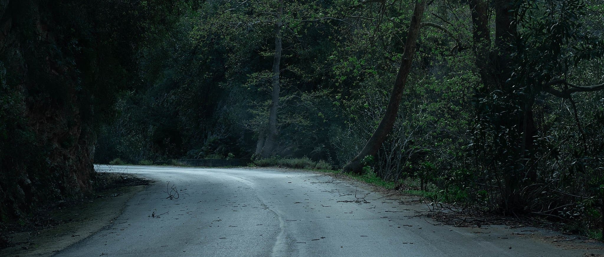 Road Through Theriso Gorge. Ιωσηφίνα Γεωργούλη- Botanical Park & Gardens of Crete and Theriso Gorge | A Day Trip